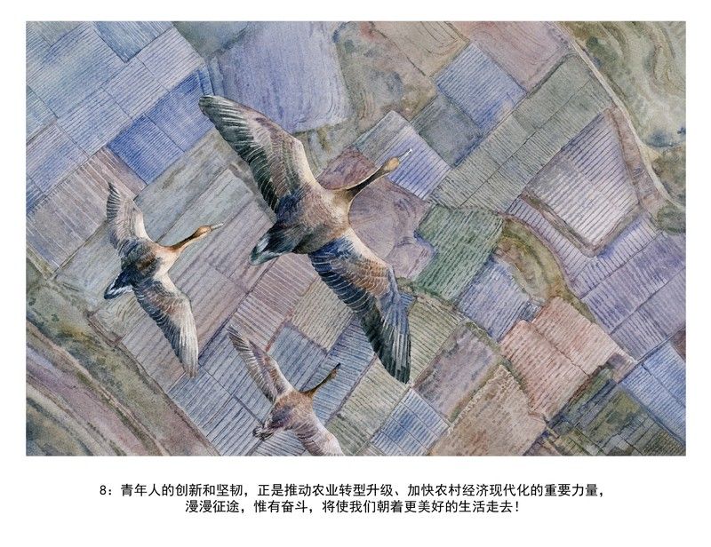 本次所获成绩